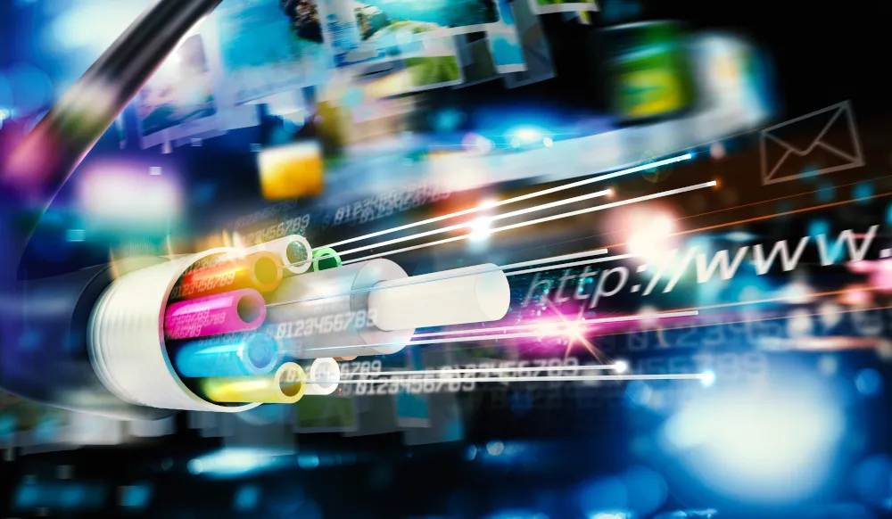 बेल्जियम में केवल 11% लोग ही